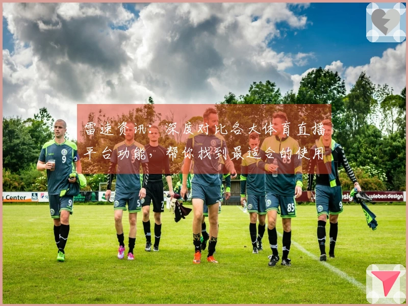 雷速资讯：深度对比各大体育直播平台功能，帮你找到最适合的使用体验